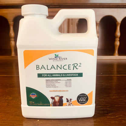 Balancer2 by Wind River Microbes