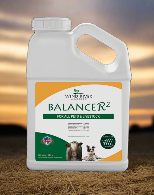 Balancer2 by Wind River Microbes